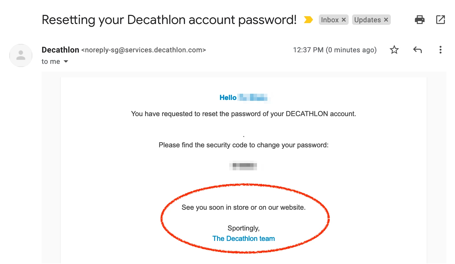 Decathlon password reset email