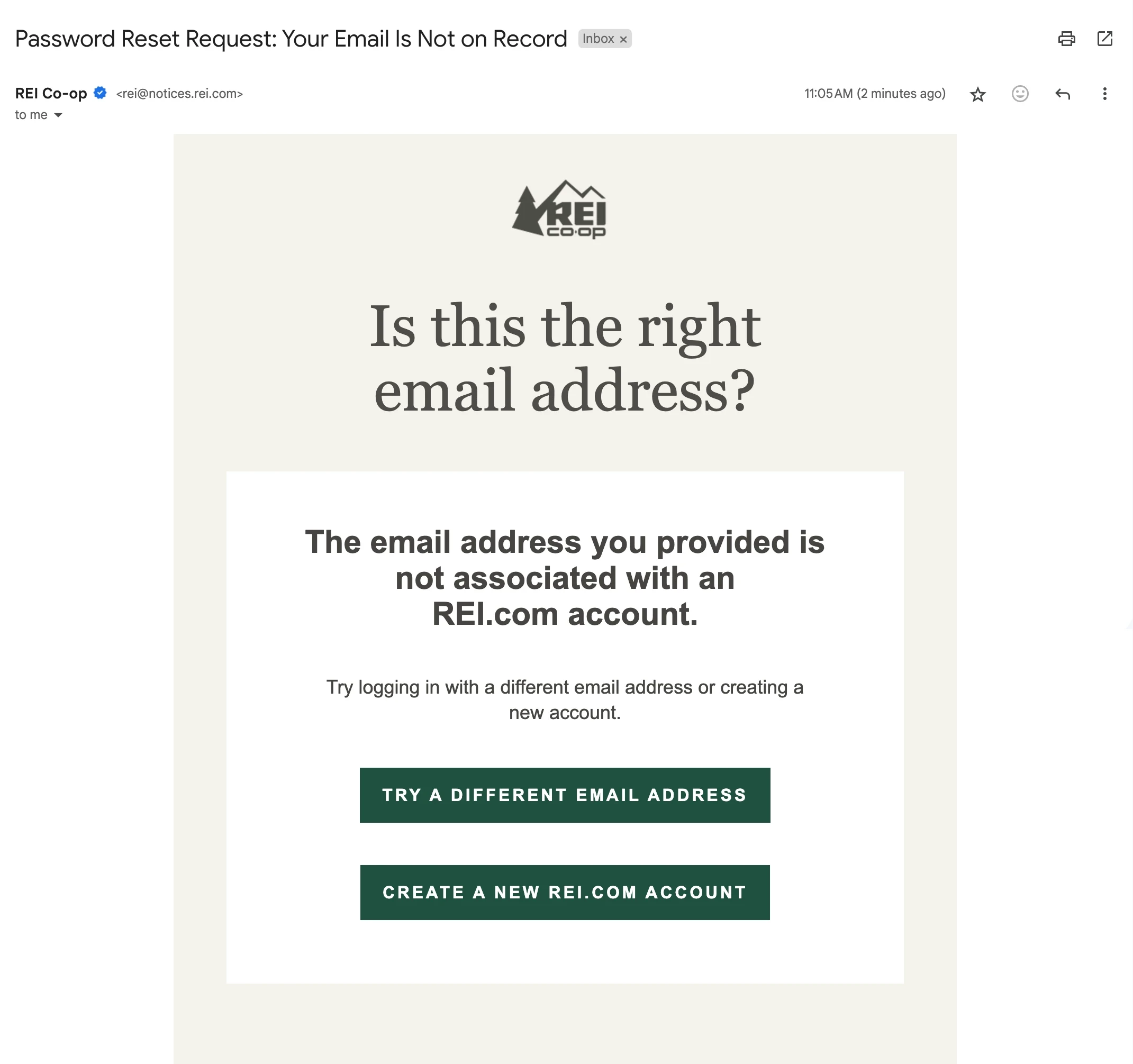 REI password reset email